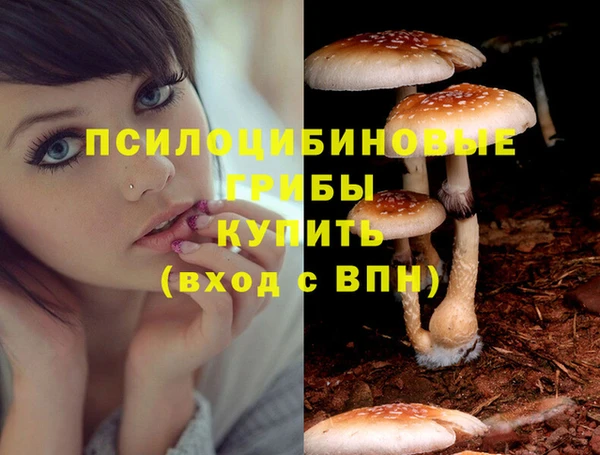 Альфа ПВП Алексеевка