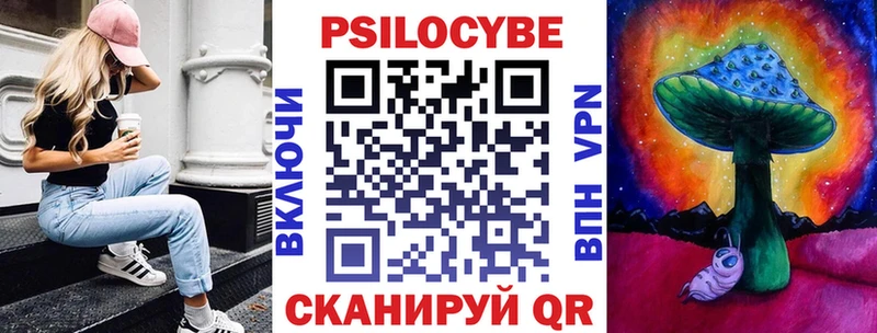 как найти закладки  Урус-Мартан  Галлюциногенные грибы Psilocybine cubensis 