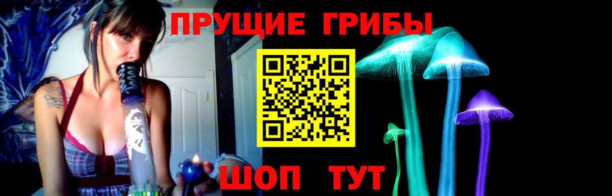 Урус-Мартан  наркотики  Вход с VPN  Псилоцибиновые грибы GOLDEN TEACHER 