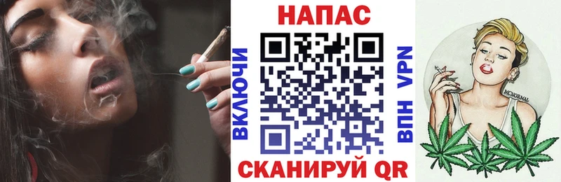 купить  цена  Урус-Мартан  Конопля ГИДРОПОН 