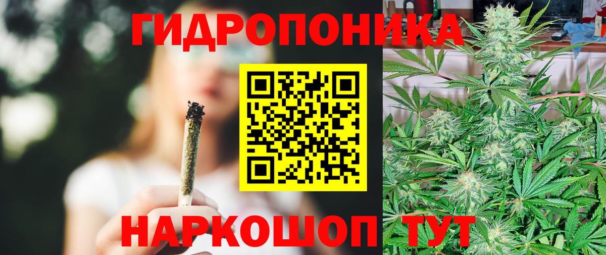 Конопля THC 21%  Вход с VPN  Бошки Шишки план  Урус-Мартан  МАРИХУАНА сатива 